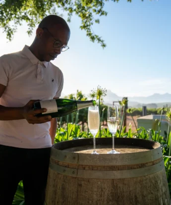 Winelands Experience 2, One&Only, Cape Town, South Africa