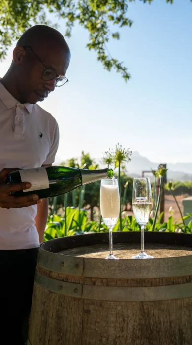 Winelands Experience 2, One&Only, Cape Town, South Africa
