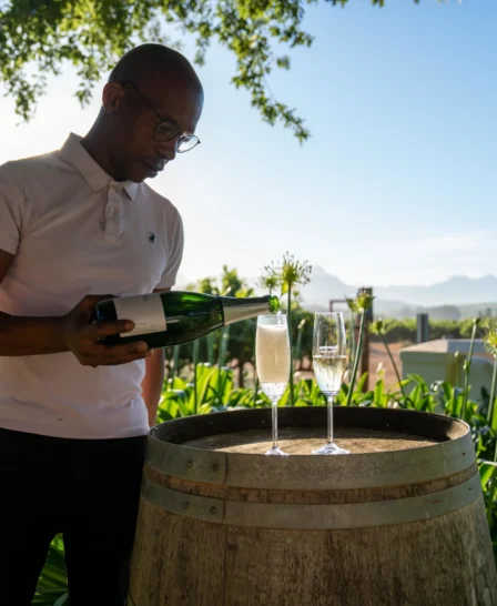 Winelands Experience 2, One&Only, Cape Town, South Africa