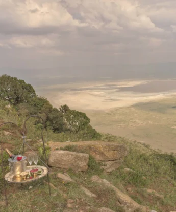 ngorongoro crater lodge sundowners tanzania yellow zebra safaris