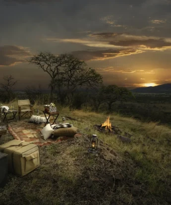 sundowners, nimali serengeti, serengeti np, tanzania