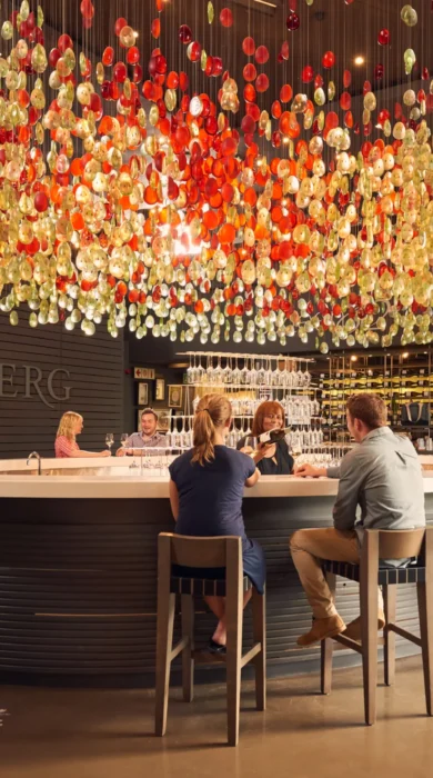 tasting room, steenberg hotel, cape town, south africa