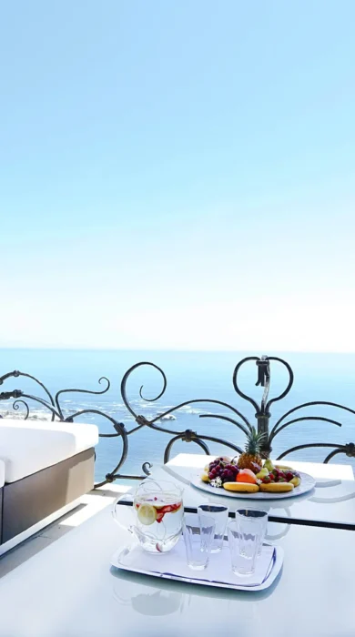 93A1983 copy V1 copy