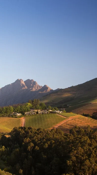 Delaire Graff Estate at home in the landscape