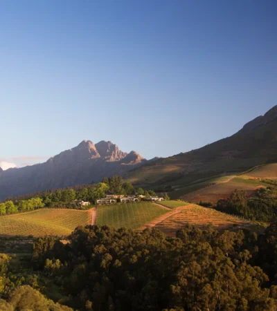 Delaire Graff Estate at home in the landscape