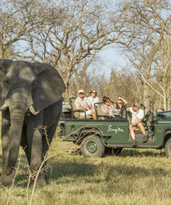 A safari vehicle stops to watch an elephant, Singita Castleton, Sabi Sands, South Africa - Yellow Zebra Safaris