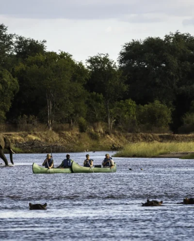 canoeing in mana pools, zimbabwe safari holidays
