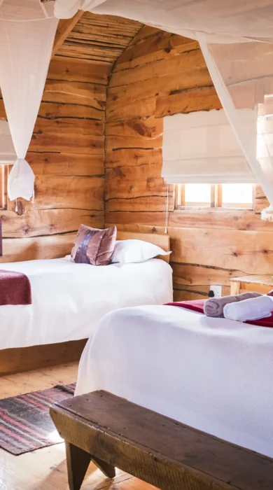 De Zeekoe room