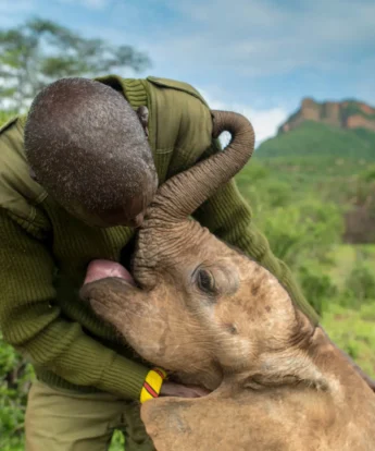 head keeper, elephant santuary, reteti house, matthews range, kenya