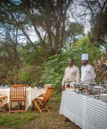 Tipilikwani Mara Camp bush dinner kenya yellow zebra safaris