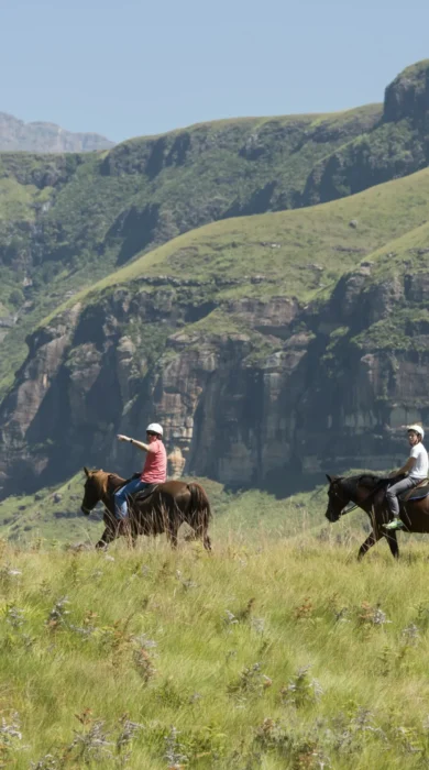 Horse Riding Scene 3