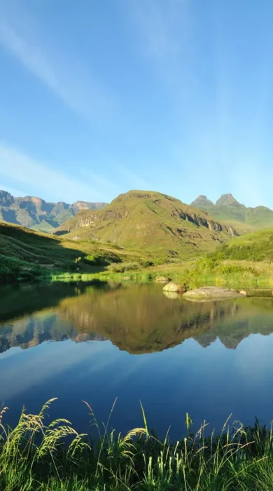 Lake Jarred