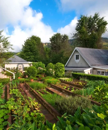 Potager