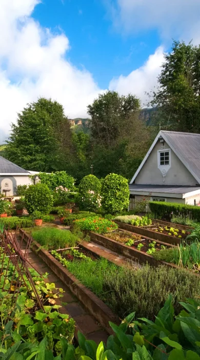 Potager