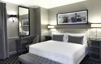 Luxury Suite
