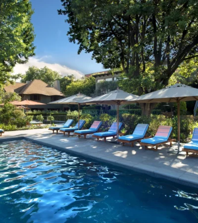 Larger Outdoor Lap Pool, , The Peech, Johannesburg, South Africa