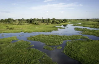 view of moremi game reserve, botswana safari parks