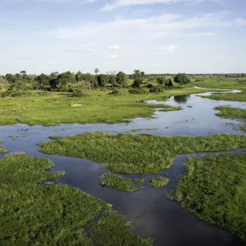 view of moremi game reserve, botswana safari parks