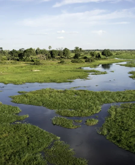 view of moremi game reserve, botswana safari parks