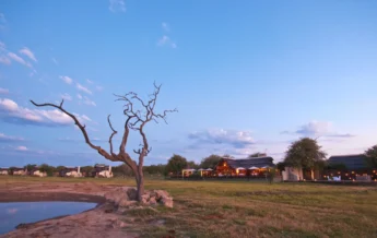 Jamala Madikwe Vista 2