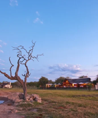 Jamala Madikwe Vista 2