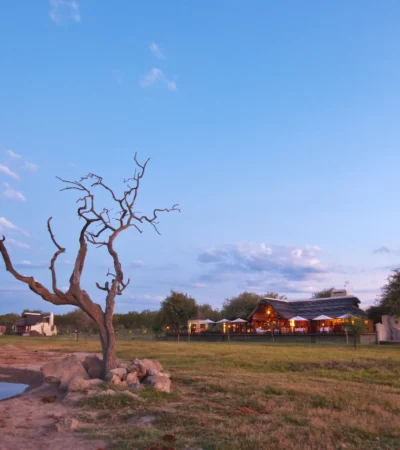 Jamala Madikwe Vista 2