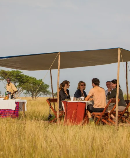 Ishasha Wilderness Camp (1)