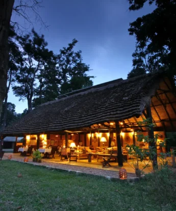 Ishasha Wilderness Camp (44)