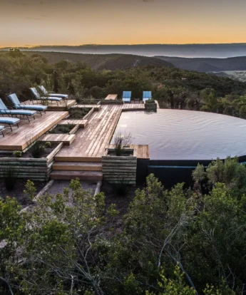 evening views ukhozi lodge kariega south africa yellow zebra safaris