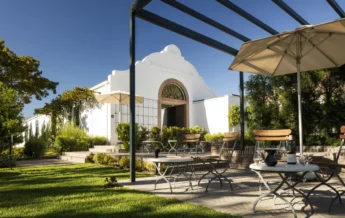 Mullineux & Leeu Family Wines Studio Leeu Estates (1)