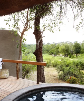 londolozi varty camp south africa pool deck yellow zebra safaris