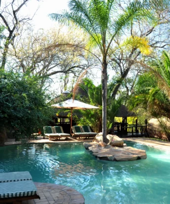 Swimming Pool 2 PKP