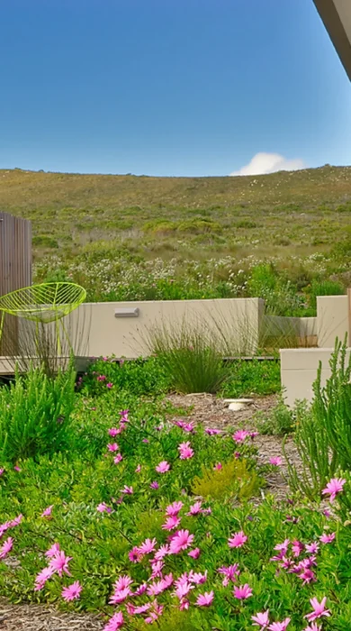 Villa Suite from Garden D331644 p