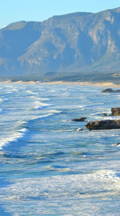 Coast, Hermanus, South Africa