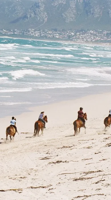 grootbos garden lodge beach horse riding south africa yellow zebra safaris