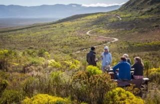 grootbos garden lodge flower breakfast south africa yellow zebra safaris
