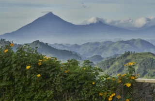 nkuringo bwindi