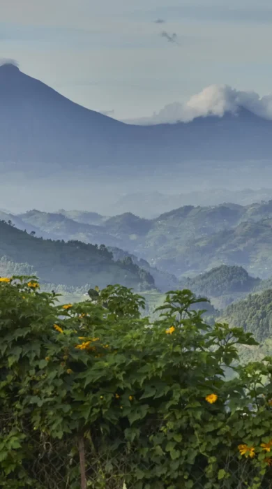 nkuringo bwindi