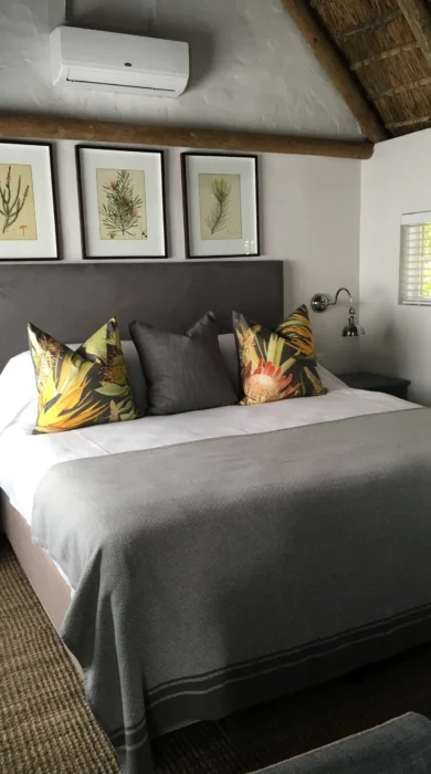 cellar bedroom