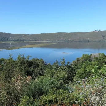 priavte forest, kanonkop house, knysna, south africa