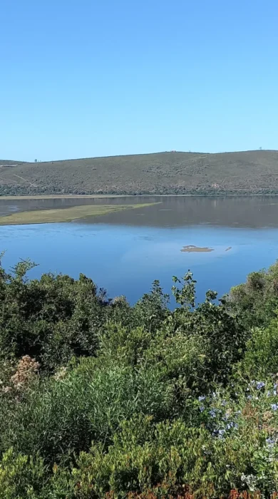 priavte forest, kanonkop house, knysna, south africa