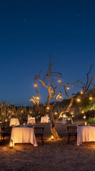 star lit dinner, marataba safari lodge, marakele national park, south africa