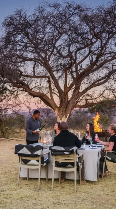 bush dinner, marataba safari lodge, marakele national park, south africa