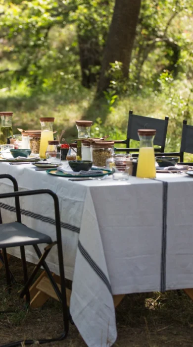 silvan safari lodge bush breakfast south africa yellow zebra safaris
