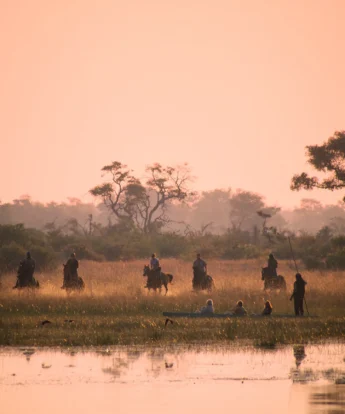 okavango horse safaris sundowners botswana yellow zebra safaris