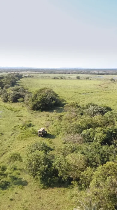 South africa open plains