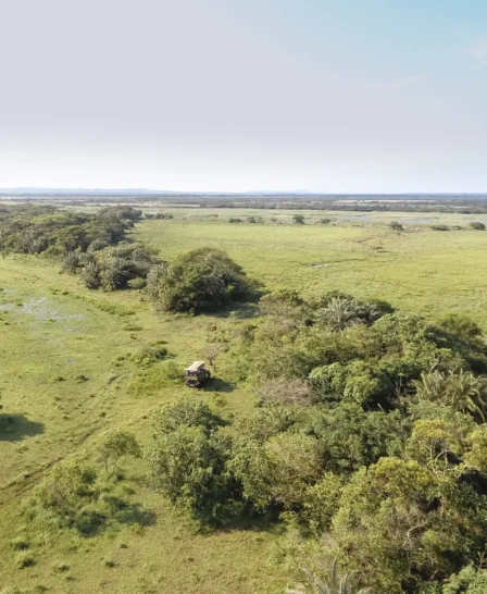South africa open plains
