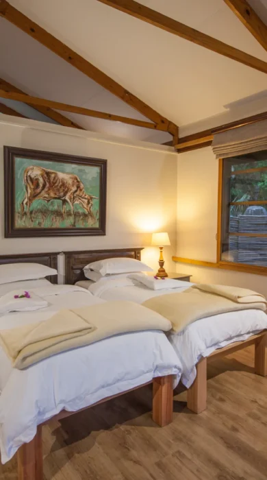 Twin lodge room south africa