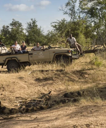 Game Drives Greater Kruger