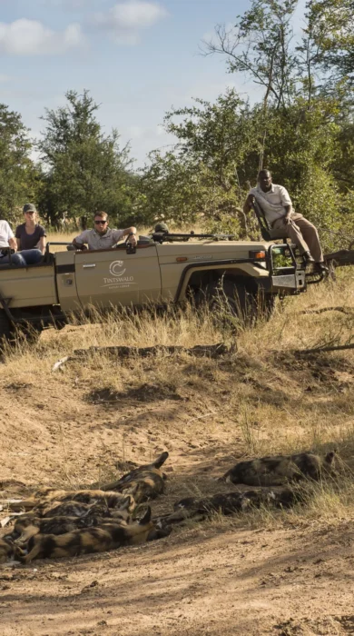 Game Drives Greater Kruger